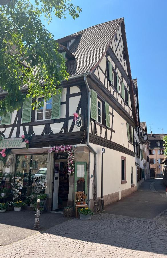 La Maison Du Batelier Colmar Exterior photo